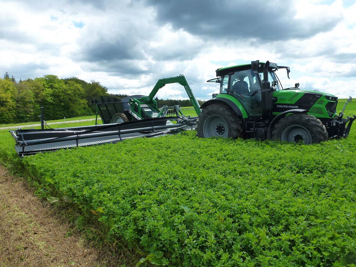 ModernLandwirt's tweet photo. Heimisches Eiweiß - Luzerneblätter in der Schweinefütterung einsetzen

#ModernerLandwirt #Landwirtschaft #Agrar #agriculture
 #Rotklee #LFLBayern #HeimischesEiweiß #Grünlegum #Eiweiß #LFLFreising #Luzerne #Schweinefütterung #LFL #NovaLuz

https://t.co/p5ZlSB1xOT https://t.co/PkXP5h9yi6