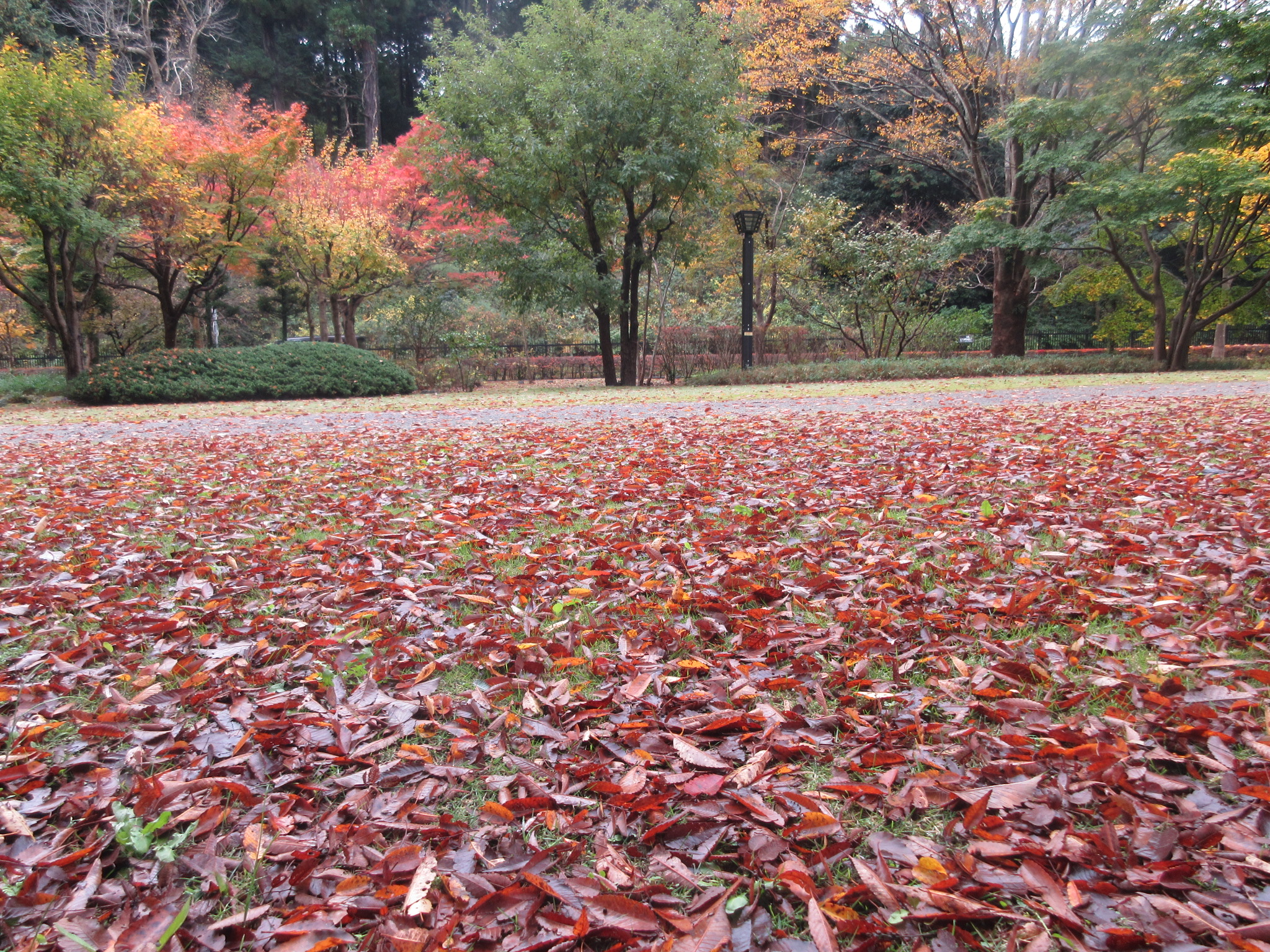 見晴亭 Miharashi Tei Twitter