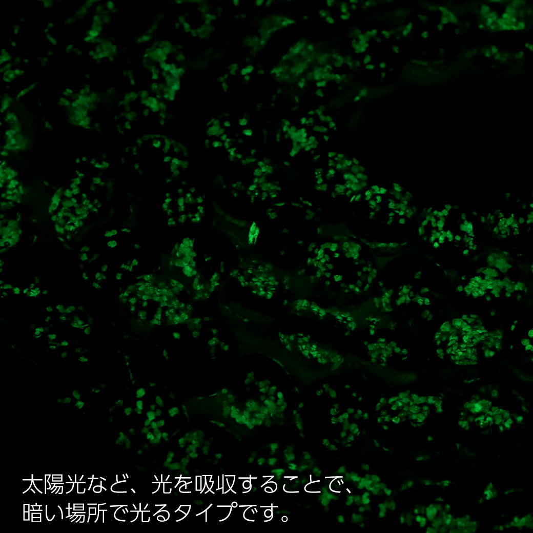 one_one2021's tweet photo. 【入荷】パナリブルー ホタルガラス
パナリ島の白い砂浜とどこま���も広がる超絶美しいエメラルドグリーンの海を再現したのがパナリブルー ホタルガラスです。
https://t.co/D5awt6bytZ
#ホタルガラス #okinawa #ビーズ https://t.co/U1LqThTtrU
