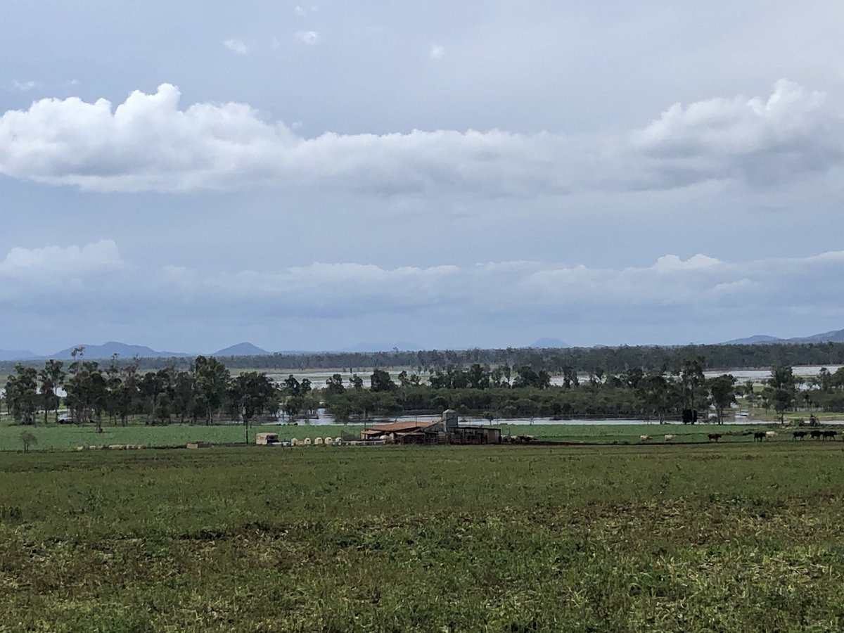 110 in 36 hrs till this morning, water sitting on Doonside flats in November so the dry weather insurance policy is getting a little top up. 👌