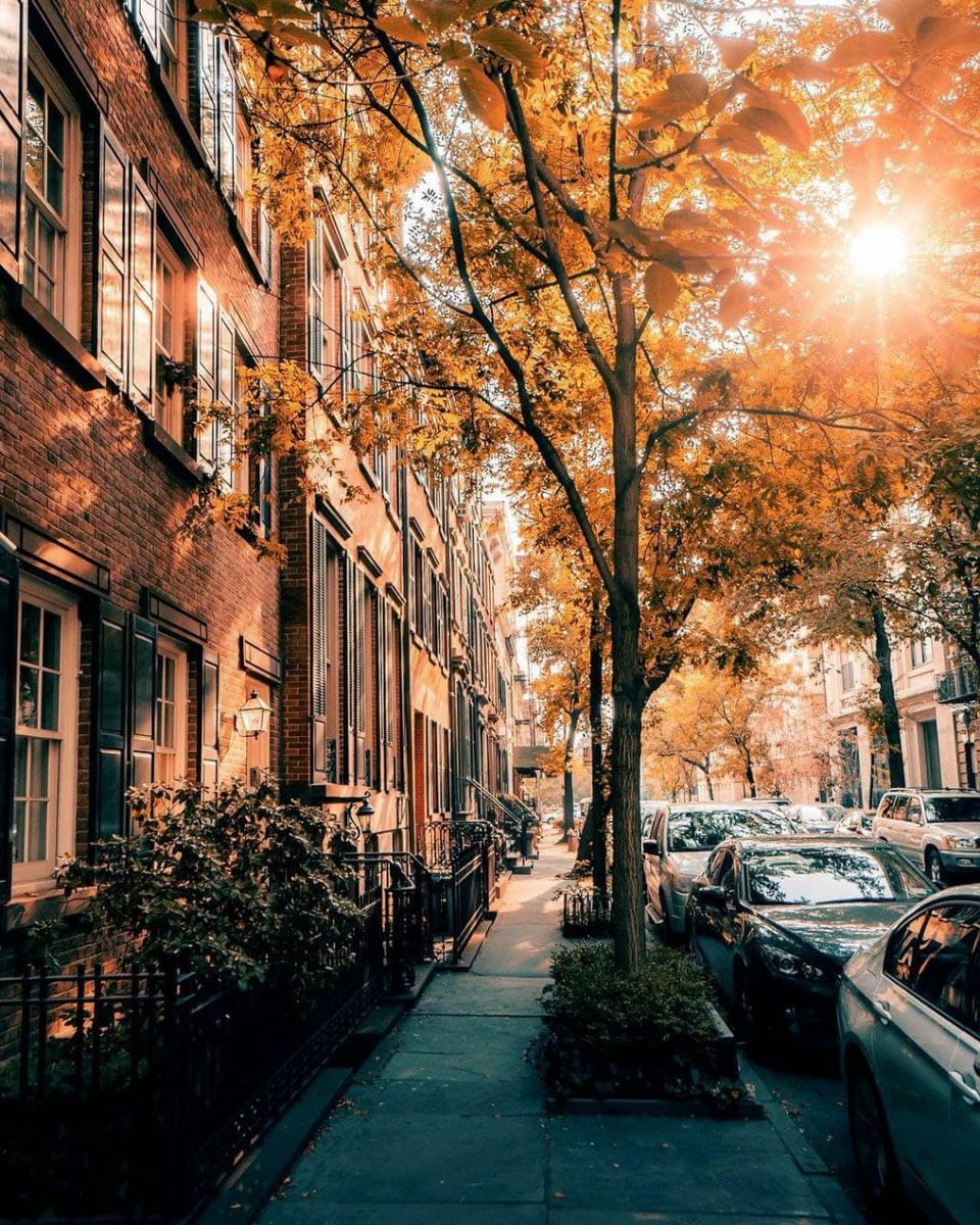 Fall vibes in the West Village 🍁
📸 <a href="/dylanwaalker/">dylanwaalker</a> via Instagram

#NewYork #NewYorkCity #fallvibes #autumn #PhotoOfTheDay
