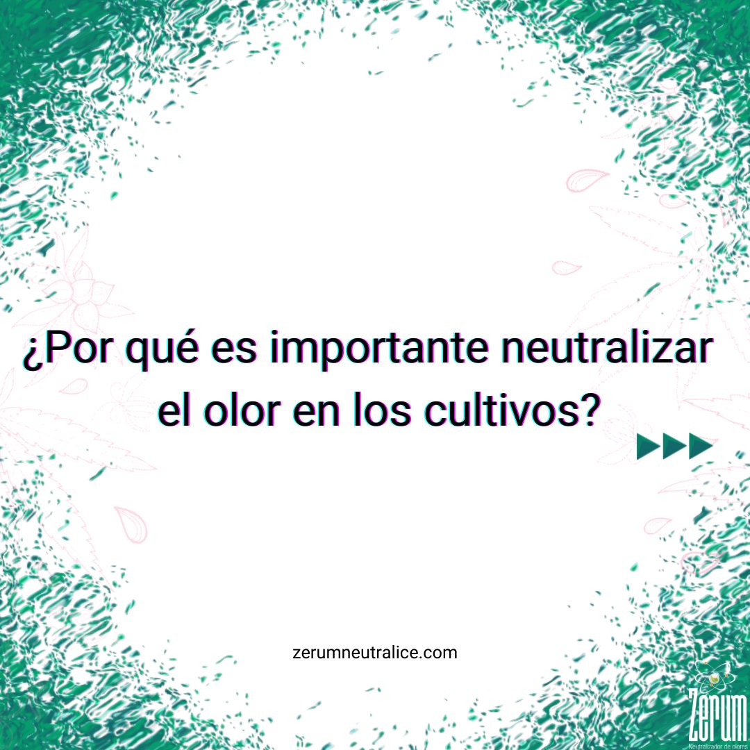 ZerumNeutralice's tweet photo. ¿Le ha pasado recordar a alguien solo al reconocer su aroma?
.
Por lo general, ¡Sí! y se debe a que recordamos cerca del 35% de lo que olemos 😱
.
Los neutralizadores de olores Zerum ayudan a personalizar los espacios eliminando el olor no deseado 😍🍃🌀🍓
#zerumcar #zerumspray https://t.co/38rmQkWvdi