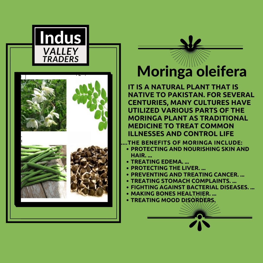 INVATRADRERS's tweet photo. Moringa is taken by mouth for treatment of a large number of diseases .For more details view description.
#importexportentrepreneur #importexportbusiness #importexportinternational #importexportortofrutta #importexportmuc #importexportchina #importexportindia #importexportcam https://t.co/zOixNfRk9g