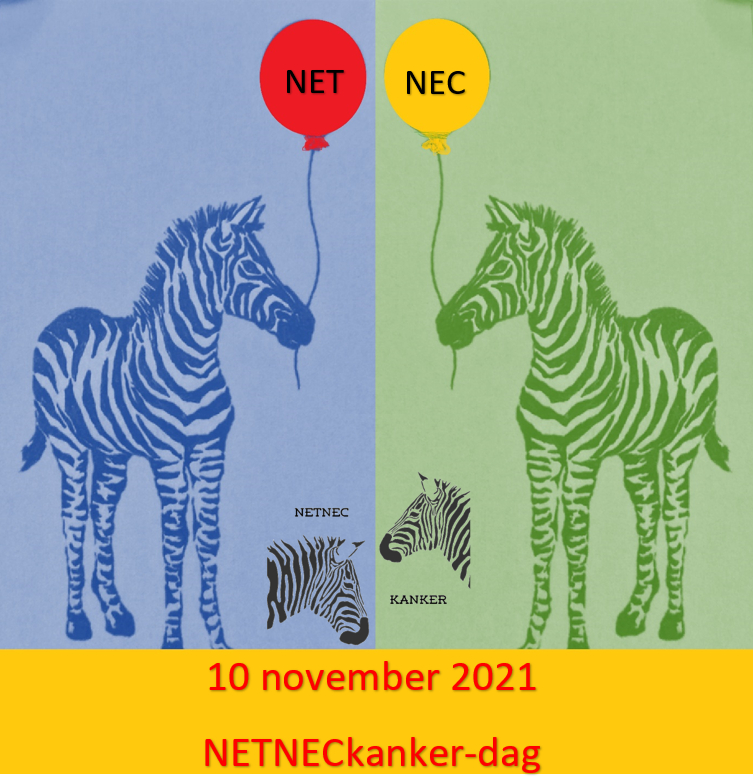 Vandaag is het NETNECkanker-dag. 10 november is dé dag om meer bewustzijn te creëren voor NET- en NEC-kanker. Deze ziekten gaat vaak gepaard met verkeerde diagnoses en dus lange tijd zonder juiste behandeling. 
Hoe lang duurde het bij u voor u de juiste diagnose kreeg?