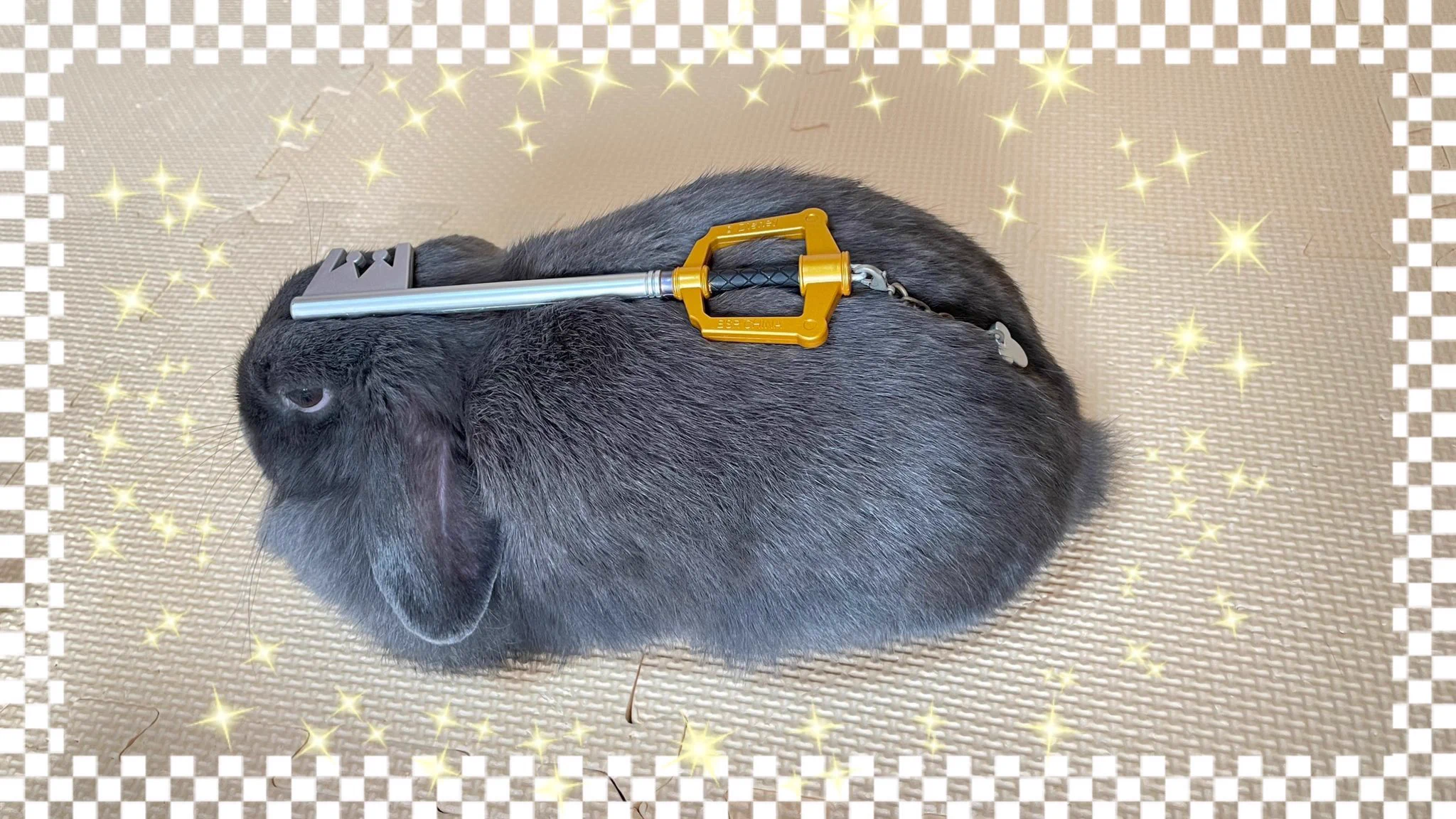 @TDR_PR 鍵が導く心のままに… 