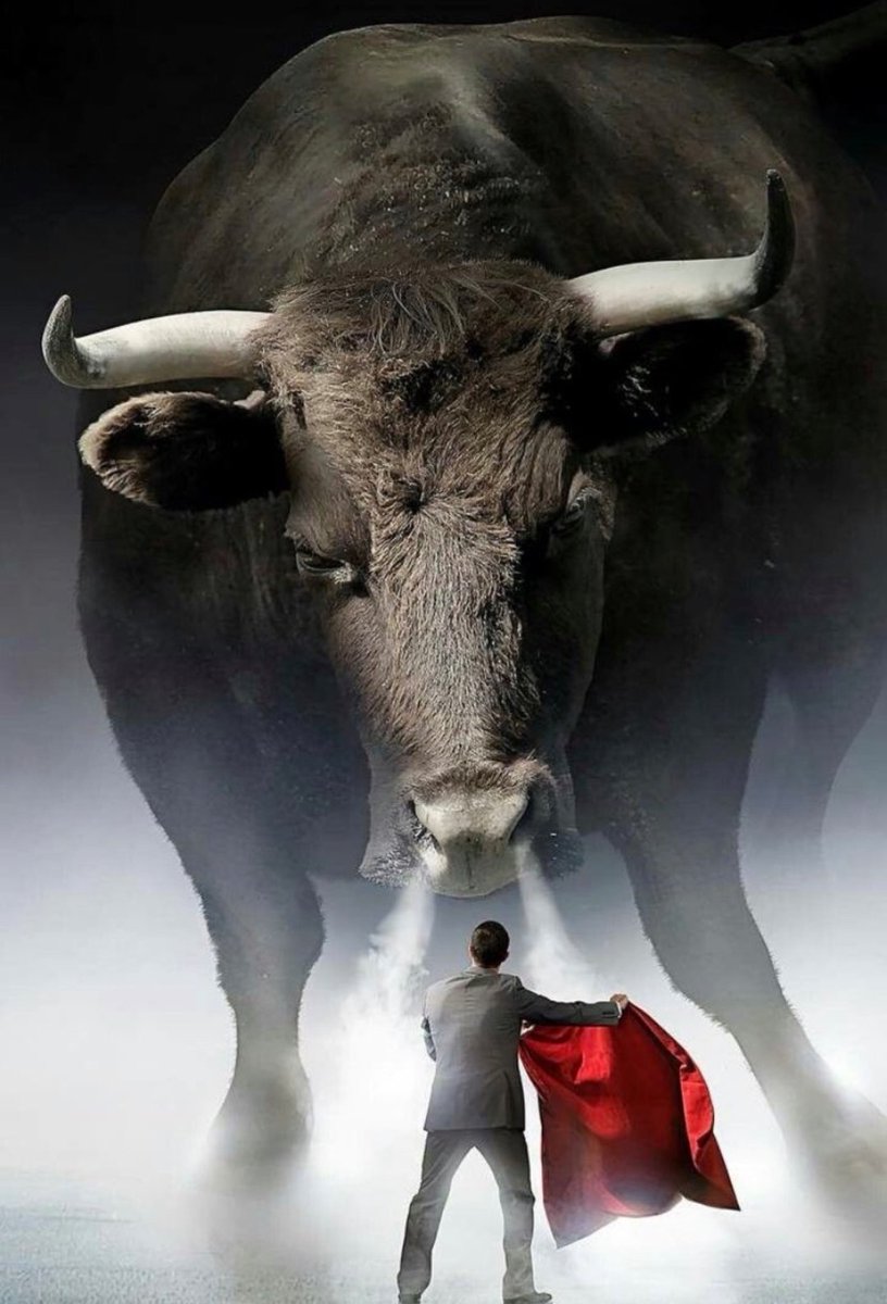 #Holo
#holochai̇n 
#web3