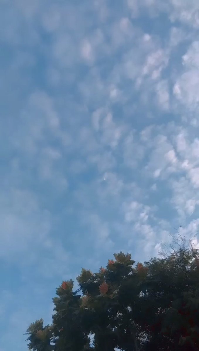 Hitori_Jiyuu's tweet photo. I can see the moon
#NFT #NFTs #UniqueDroid #FreeNFT #NFTcommunity https://t.co/KAYtoBylu7