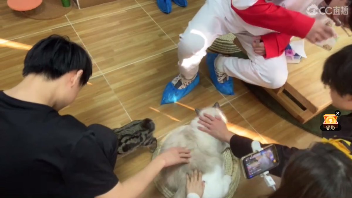 WolvesIDV_ThFan's tweet photo. ต๊ะเอ๋ นี่ใครเอ่ยย ครบแก๊งค์เด็กป่วนสามคนแล้วค้าบบบ
#Wolves_AnYi #GGxawm #GGppxia https://t.co/C9ZuabziuZ