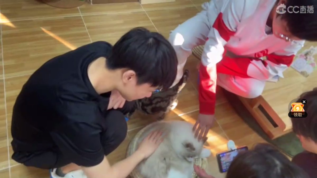 WolvesIDV_ThFan's tweet photo. ต๊ะเอ๋ นี่ใครเอ่ยย ครบแก๊งค์เด็กป่วนสามคนแล้วค้าบบบ
#Wolves_AnYi #GGxawm #GGppxia https://t.co/C9ZuabziuZ