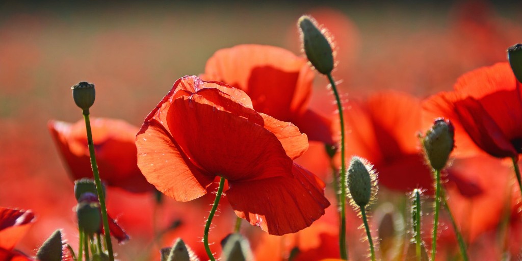 Rutland County Council tweet media