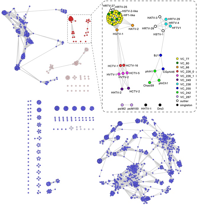 PLOS Biology (@plosbiology) on Twitter photo The remarkable diversity & evolution of tailed #archaeal viruses (order Caudoviricetes), which with their bacterial relatives arguably represent the most abundant & widespread virus group on Earth @Ying74382828 <a href="/TatianaDemina1/">Tatiana Demina π</a> @mkrupovic &co #PLOSBiology plos.io/3C1I5Pz The remarkable diversity & evolution of tailed #archaeal viruses (order Caudoviricetes), which with their bacterial relatives arguably represent the most abundant & widespread virus group on Earth @Ying74382828 <a href="/TatianaDemina1/">Tatiana Demina π</a> @mkrupovic &co #PLOSBiology plos.io/3C1I5Pz