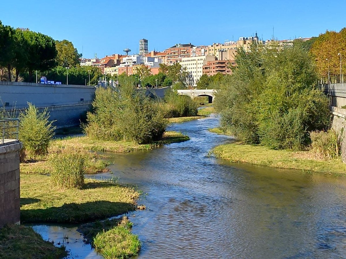 Ecologistas Madrid tweet media