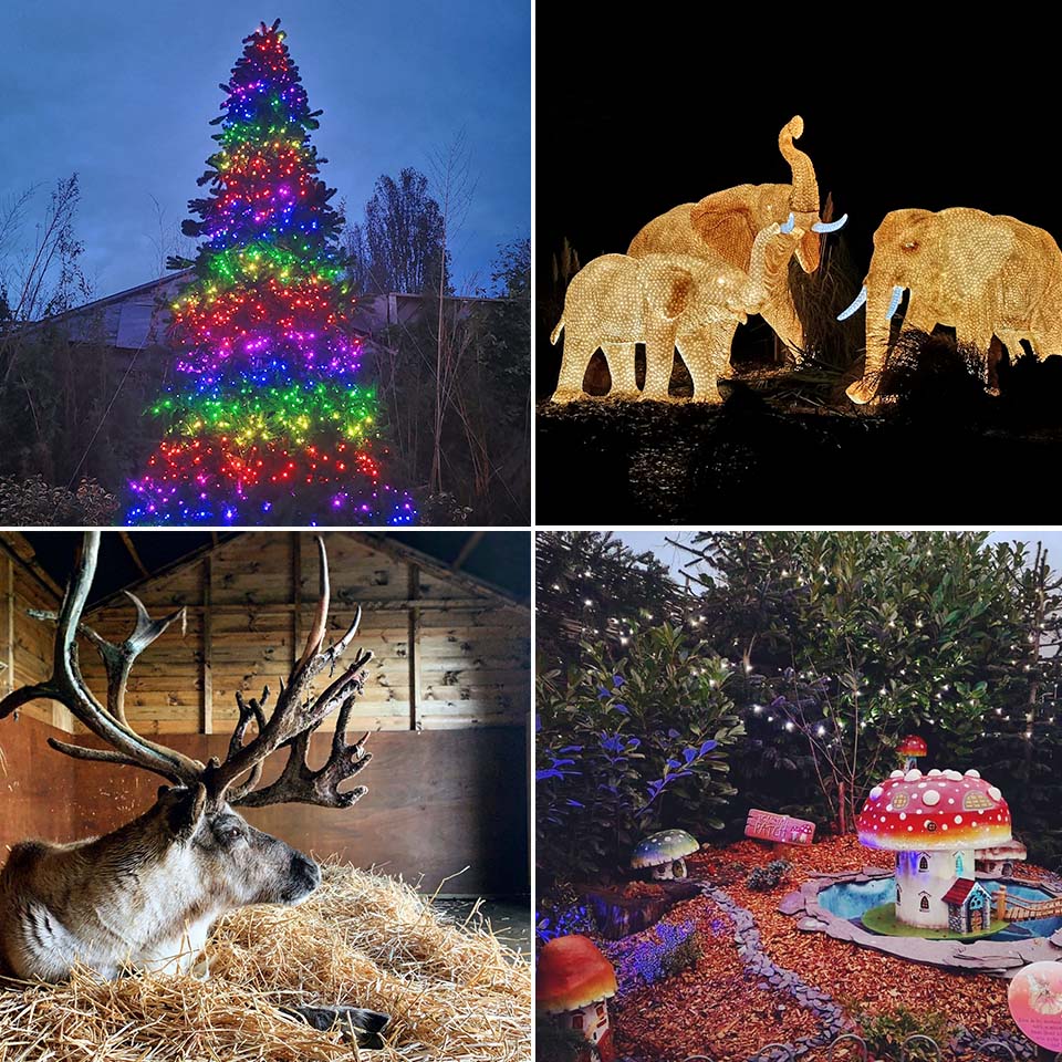 colchester zoo on twitter tickets for our santa experience on the 4th 5th december have reopened with additional tickets now available keep an eye out for news on further dates coming colchester zoo on twitter tickets for our santa experience on the 4th 5th december have reopened with additional tickets now available keep an eye out for news on further dates coming