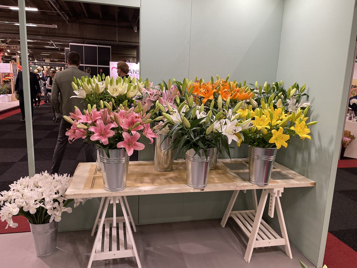 Gentily_Lilies's tweet photo. Wat zijn we nog aan het nagenieten van vorige week! Fijn om elkaar weer te kunnen ontmoeten. 

#TradeFairAalsmeer #royalfloraholland #flowershop https://t.co/yzhrhk9OMm