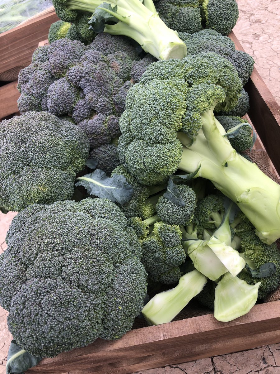 Revista Fruit Today tweet media