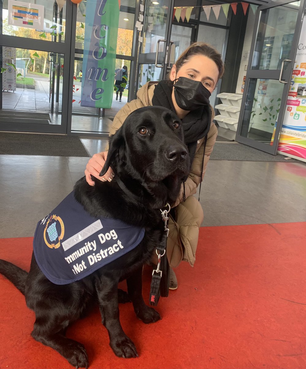 Niamh O'Brien tweet media