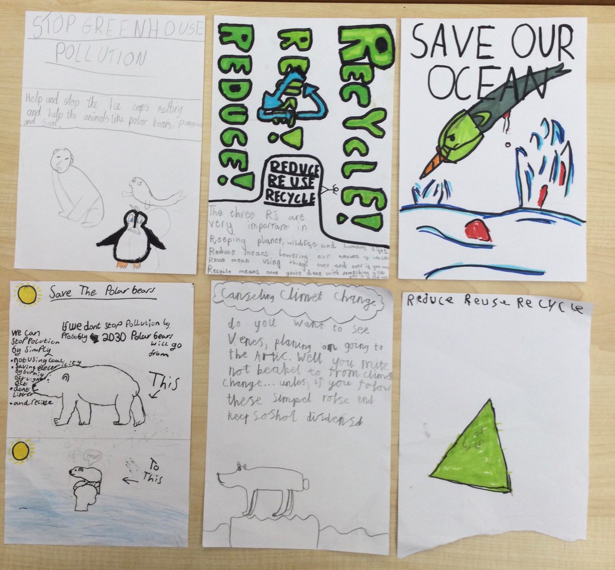 Caledonia Primary tweet media