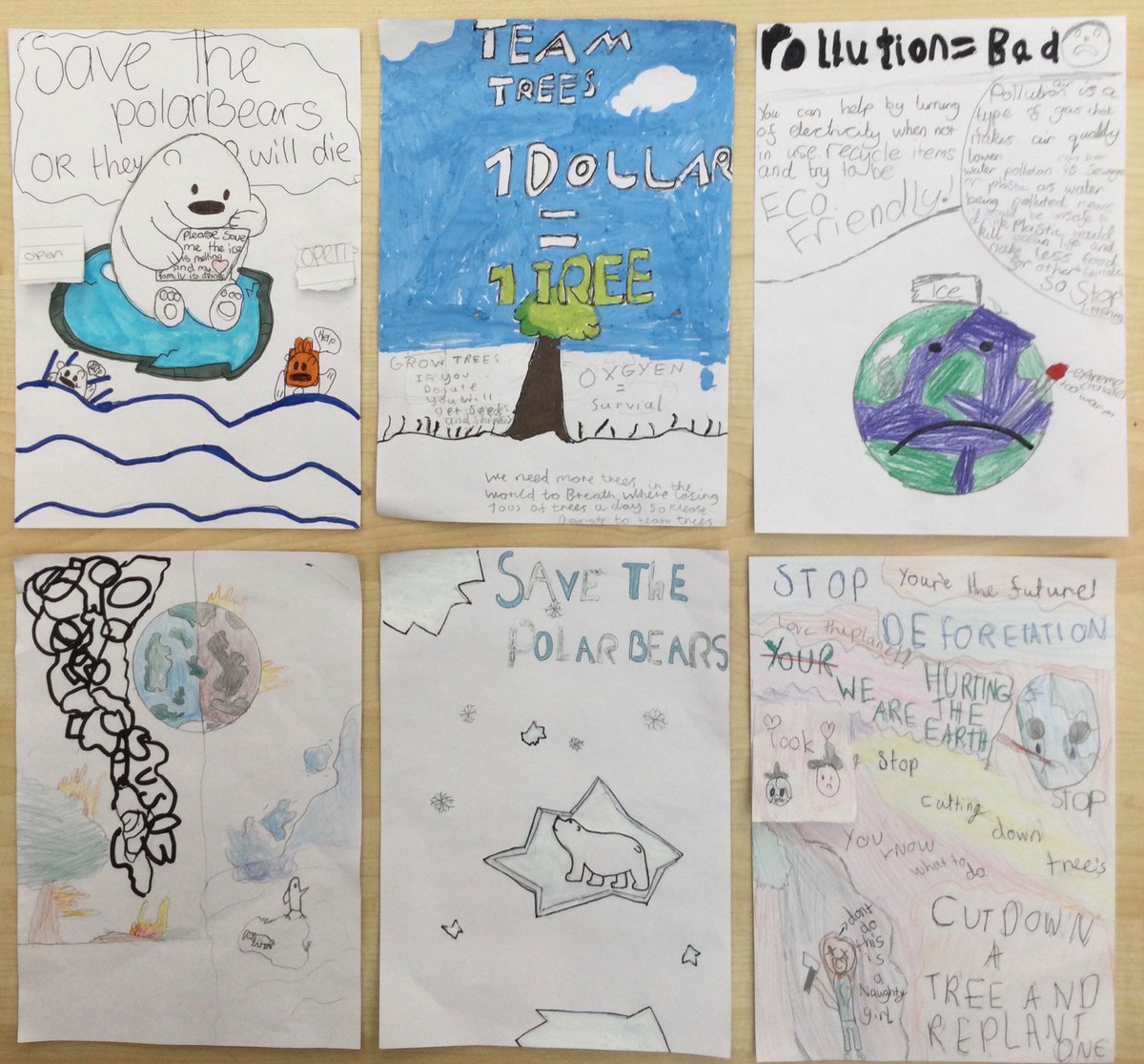 Caledonia Primary tweet media