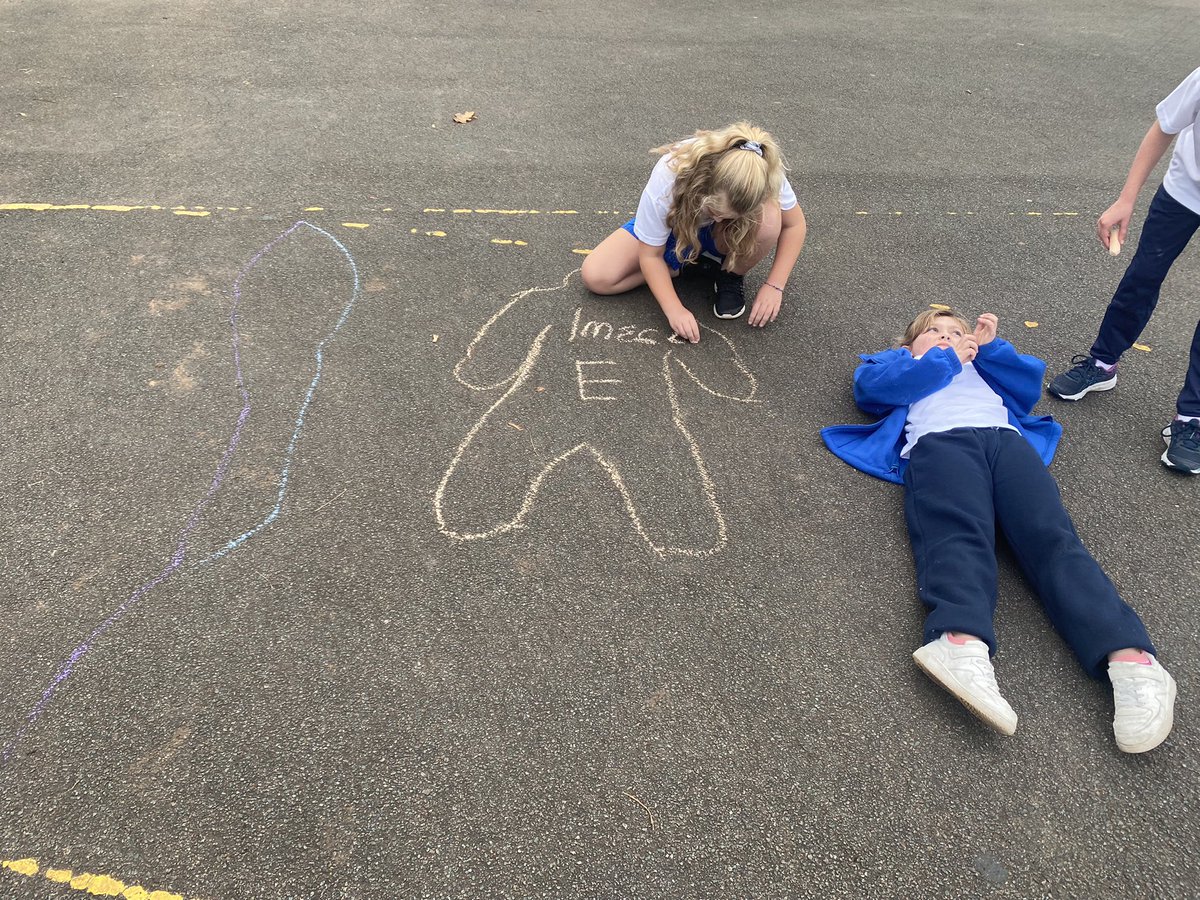 BroomfieldsJnr's tweet photo. Could a dinosaur that measures 60m fit into our school grounds? If so, how could you prove it? How many children would we need to create the same length? #broomfieldsmaths #year4maths #outdoormaths #makelearningfun https://t.co/Sg6h3ezWnS