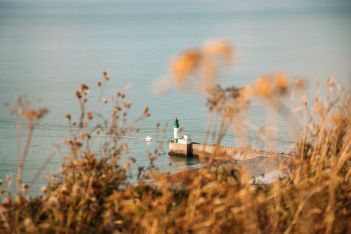 NOUVEL ARTICLE : les plus beaux endroits à voir sur la Côte d'Albâtre #Normandie 🤩

En parcourant le #GR21 nous avons marché le long de cette côté dentelée, dans son intégralité. Dans cet article, nous partageons nos 15 coups de 🧡 : bit.ly/3ocU9sd

Quel est le vôtre ?