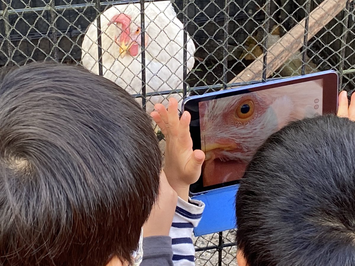 Seeing the world through the eyes of young children during our Photography Workshops has been such a thrill each year! We can’t wait to find out what kind of projects the children will choose this time. #NISinspire #NISinquire #throughchildseyes #EYphotography #formsofexpression