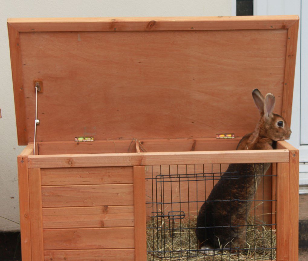 We are but a hop, skip, and a jump towards our goal of 100,000 signatures on our #ahutchisnotenough petition!
 
Can you help us hit our goal?
 
Please sign and share our petition so we can give rabbits the space they deserve 🏡
 
Thank you! 🥰🐇
 
bit.ly/3Cyjwe8