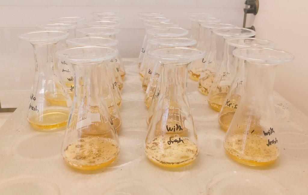 Back to the lab after a few months of desk work! Characterization of different grass juices produced in the Grass2Algae operational group 🌿💚
@MoreRadius @FbwUGent @ResearchUGent @Bioref_Cluster 
#grass #bioeconomy #nutrientrecovery