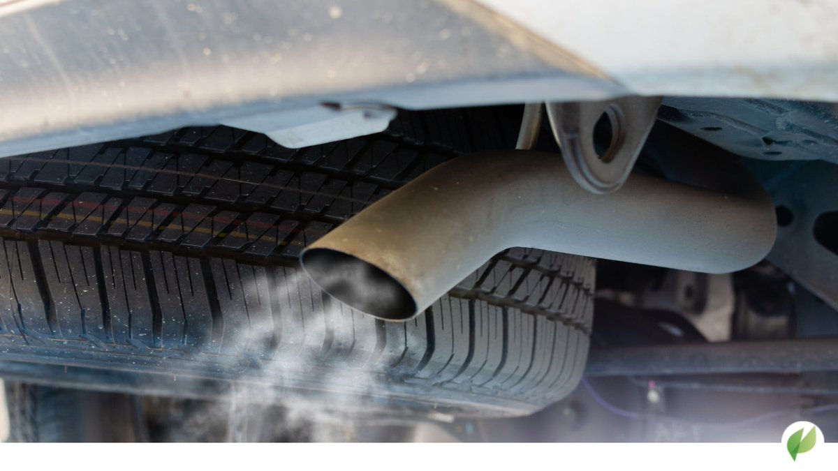 Bundesverband Nachhaltige Wirtschaft tweet media