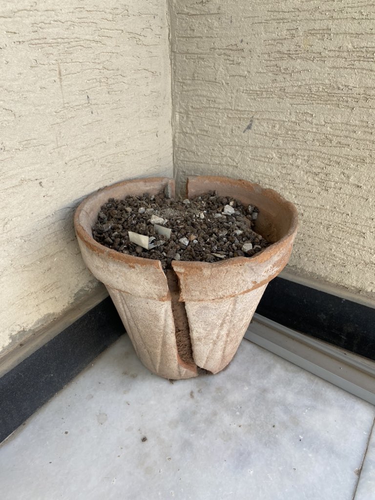 meh23t's tweet photo. Same, dear lil pot. 🥲 https://t.co/D1hbjTaypH