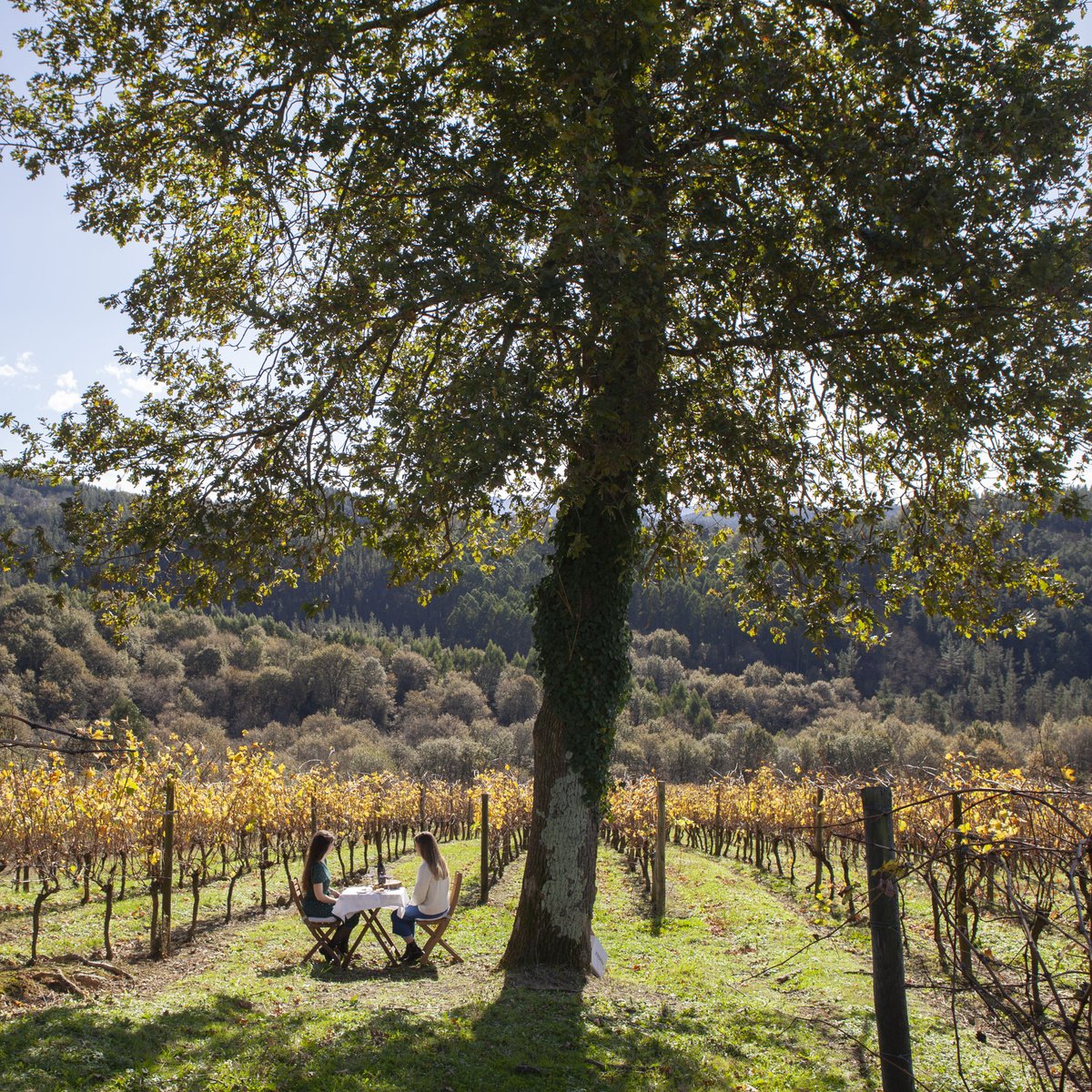 Gorka Izagirre tweet media