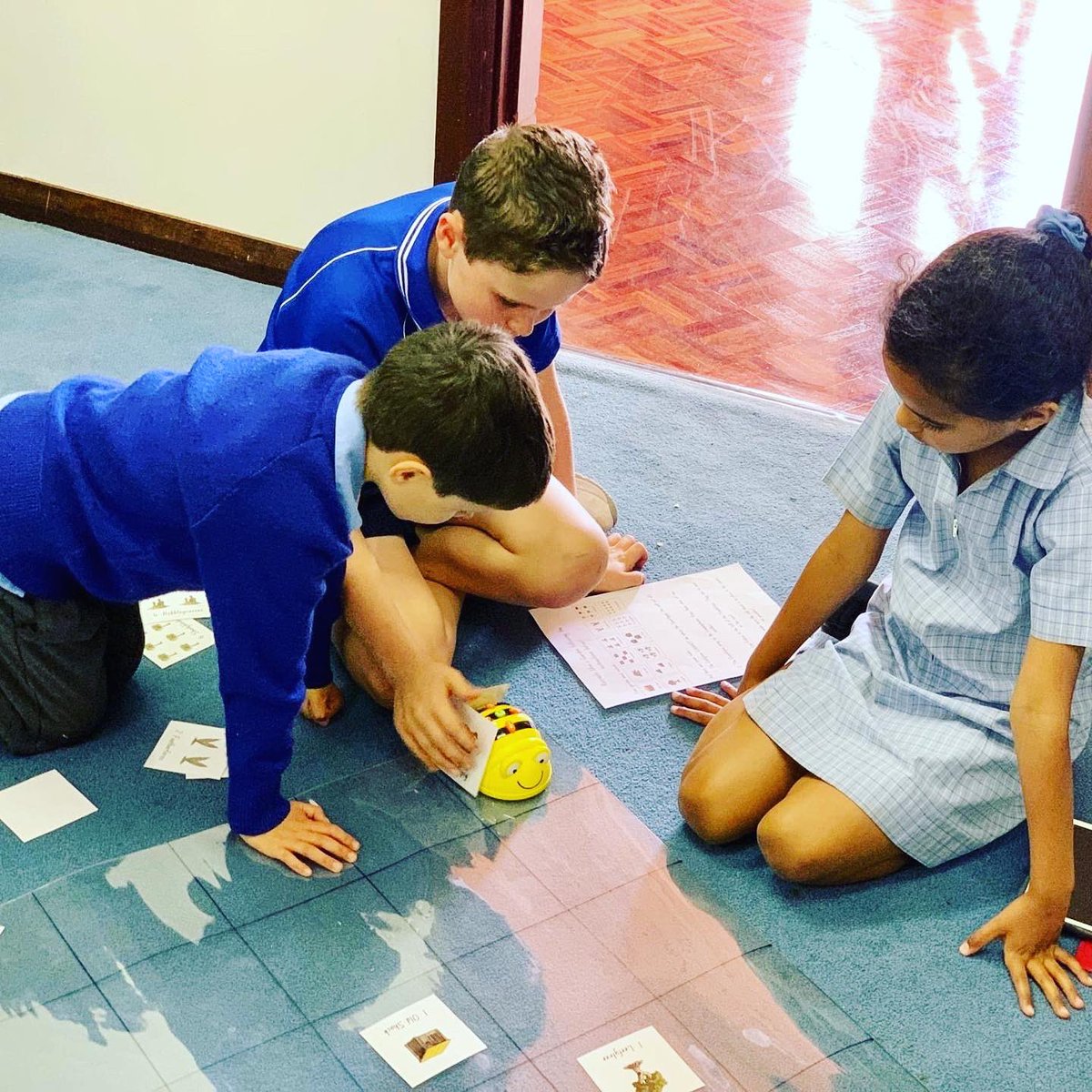 Sacred Heart Primary tweet media