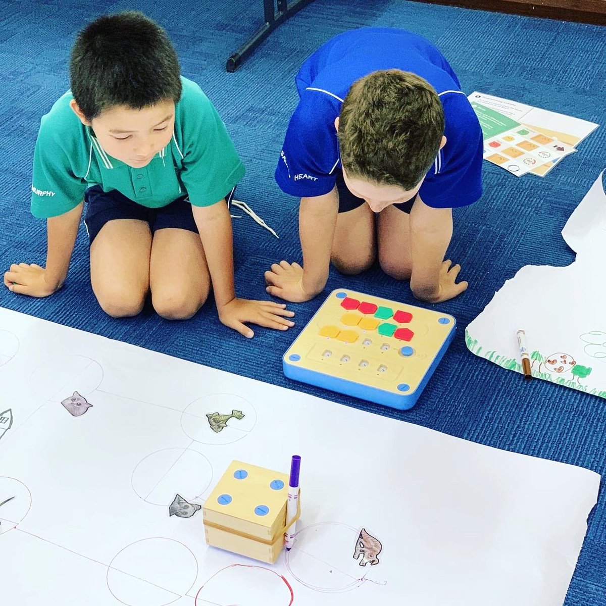 Sacred Heart Primary tweet media