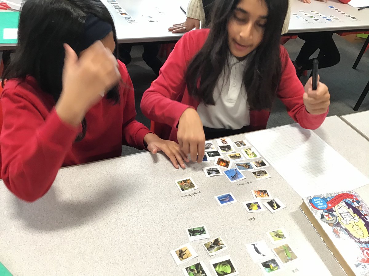 MrsHillWMPA's tweet photo. We love #identifyingandclassifying in year 6. Today we’re using our prior knowledge to classify different animals @kestrelmead #lovescience #curiosity https://t.co/nyf57lT08U
