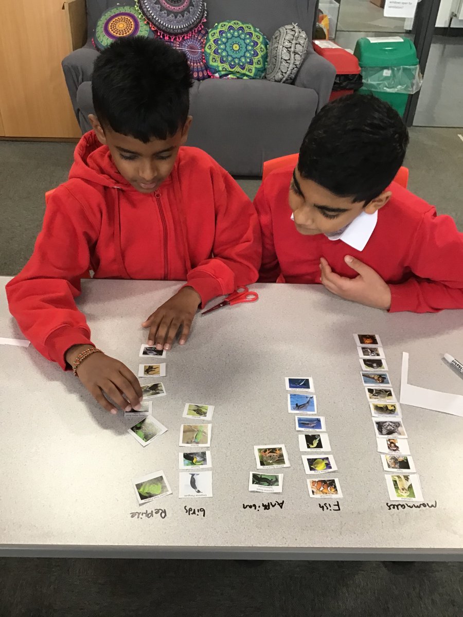 MrsHillWMPA's tweet photo. We love #identifyingandclassifying in year 6. Today we’re using our prior knowledge to classify different animals @kestrelmead #lovescience #curiosity https://t.co/nyf57lT08U