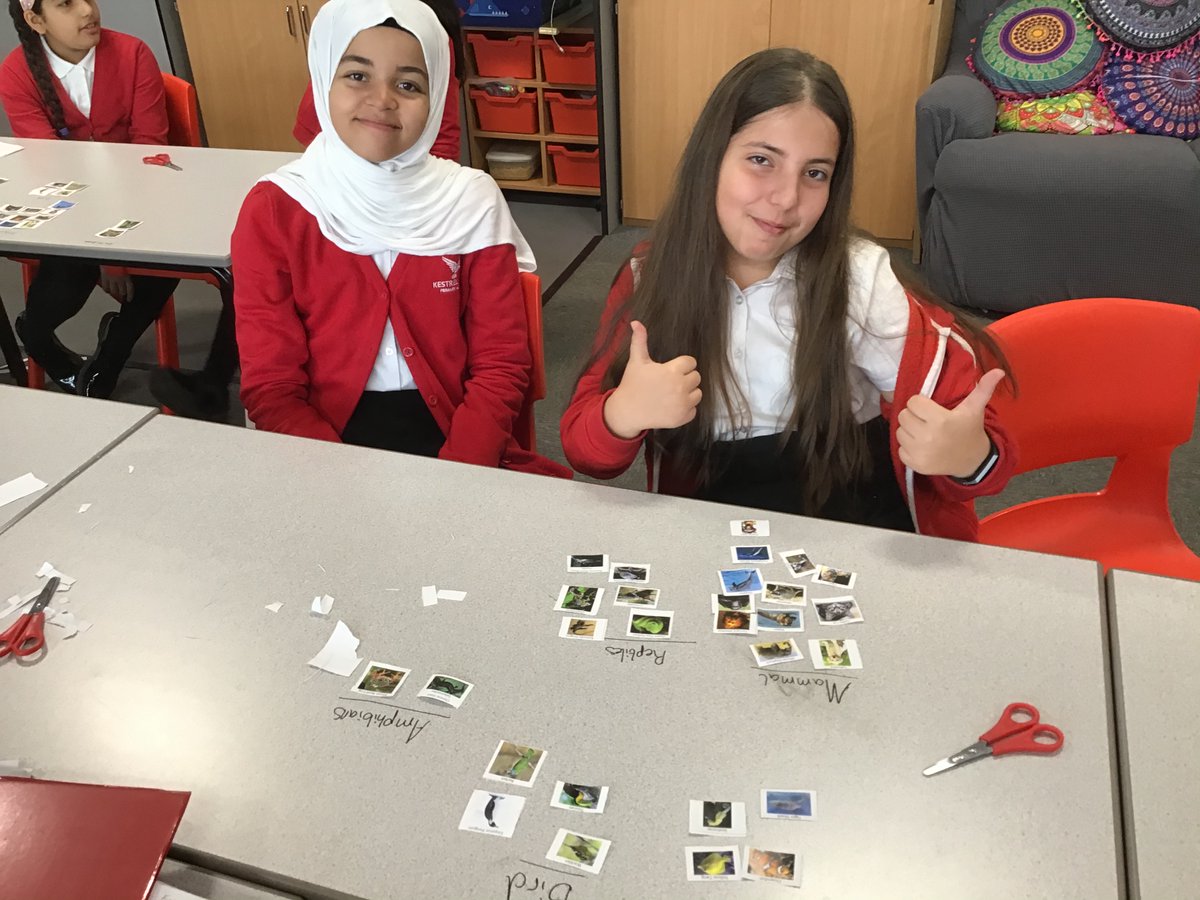 MrsHillWMPA's tweet photo. We love #identifyingandclassifying in year 6. Today we’re using our prior knowledge to classify different animals @kestrelmead #lovescience #curiosity https://t.co/nyf57lT08U