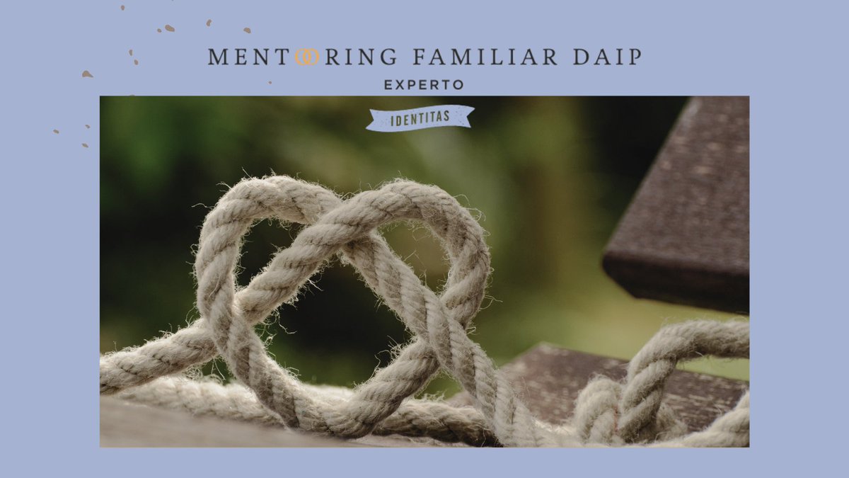 El Mentoring Familiar DAIP estudia las características del amor hombre-mujer y resuelve las dificultades que la vida ordinaria presenta, para que el amor se exprese mejor cada día y pueda alcanzar la felicidad a la que aspira. expertomentoring.com