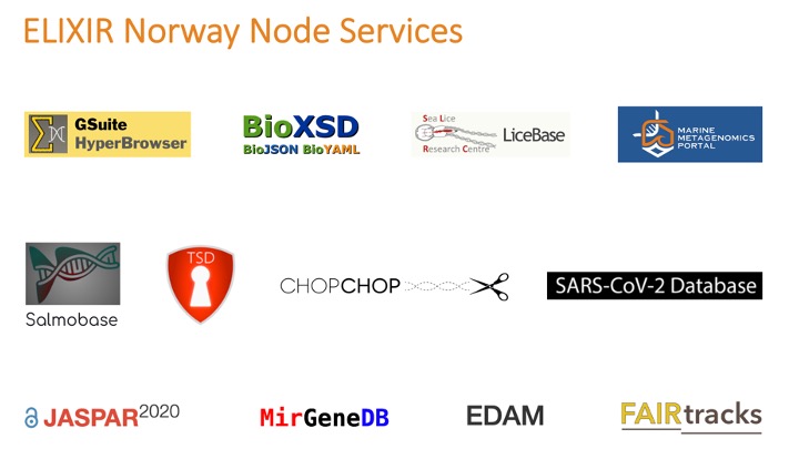 Happy to share that we have added eight excellent Norwegian bioinformatics services to our service delivery plan with @ELIXIREurope! Read more here👇 elixir.no/news/74/63/Eig…