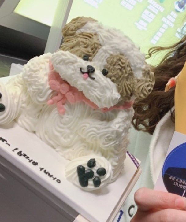 oshcuddles's tweet photo. THIS IS SO CUTE PLEASE 😭 

A phrase written on the Zzar cake says “Appa hwaiting!”. Chanyeol’s princess 💗

#CHANYEOL #찬열 https://t.co/ss9jXgXMqL