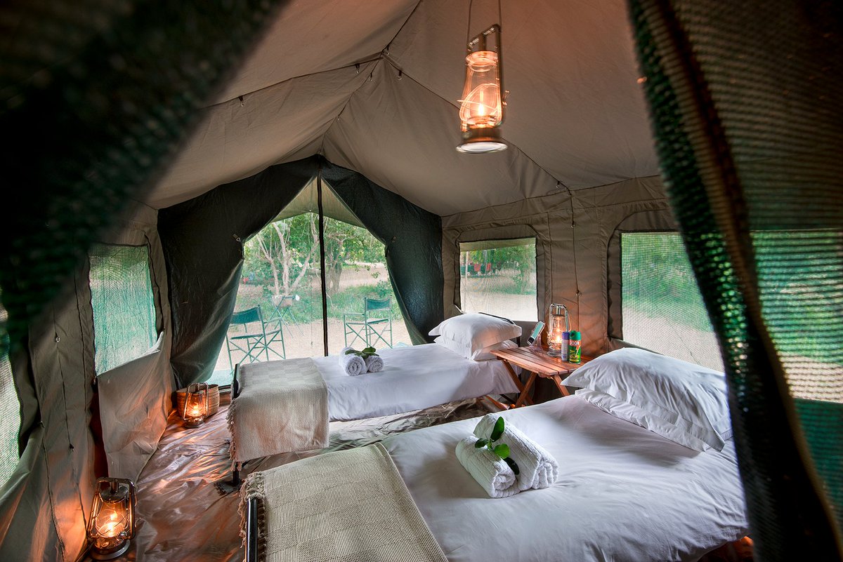 FootSafaris's tweet photo. Sleeping wild in the African wilderness is one of life’s great experiences. 
And there's a bed for every budget.
Read more on the latest blog @StanfordsTravel 

👉https://t.co/L3dYEq908e

#walkingsafaris
@RETURNAfrica @AfricaOnFoot @Lowveldtrailsco @SANParksKNP @EZEMVELOKZNWild https://t.co/jk13VOSlVq