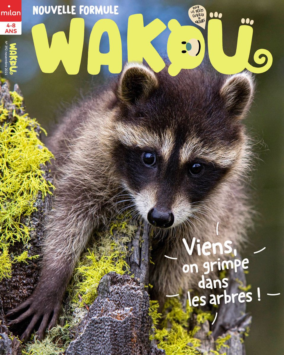 Viens grimper dans les arbres avec le raton laveur !

#wakoumagazine #ratonlaveur

wakou-magazine.com/sommaires/vien…