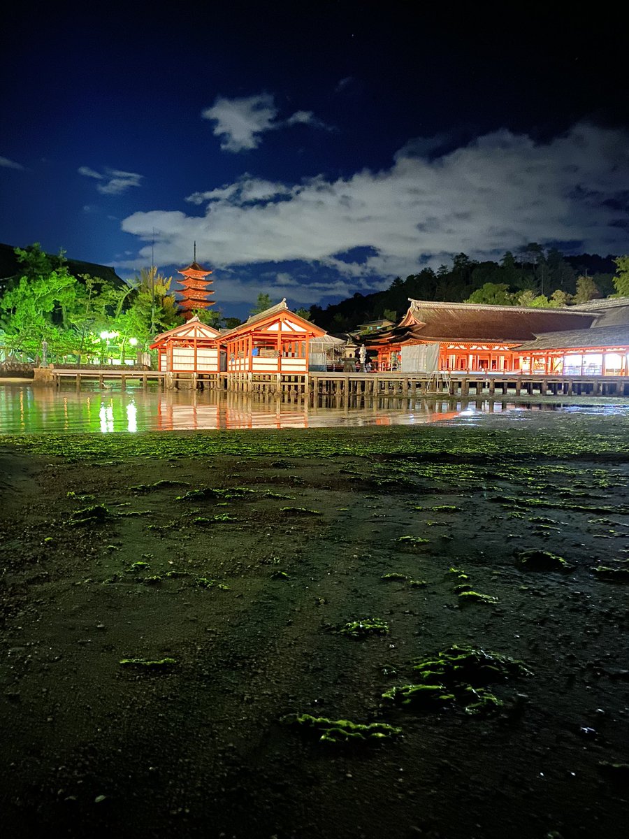 Redeye8oo8's tweet photo. 社員連れて厳島神社に来ました⛩
改修工事で鳥居は見れない💥
これはこれで綺麗だったから良しとしよう👌
しかし、シカが可愛い。 https://t.co/HpGPAqs9ra