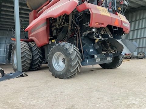 seed_terminator's tweet photo. Another big red ready for #Terminate21 😎Rainbow, Vic https://t.co/tbJeHjIgWk