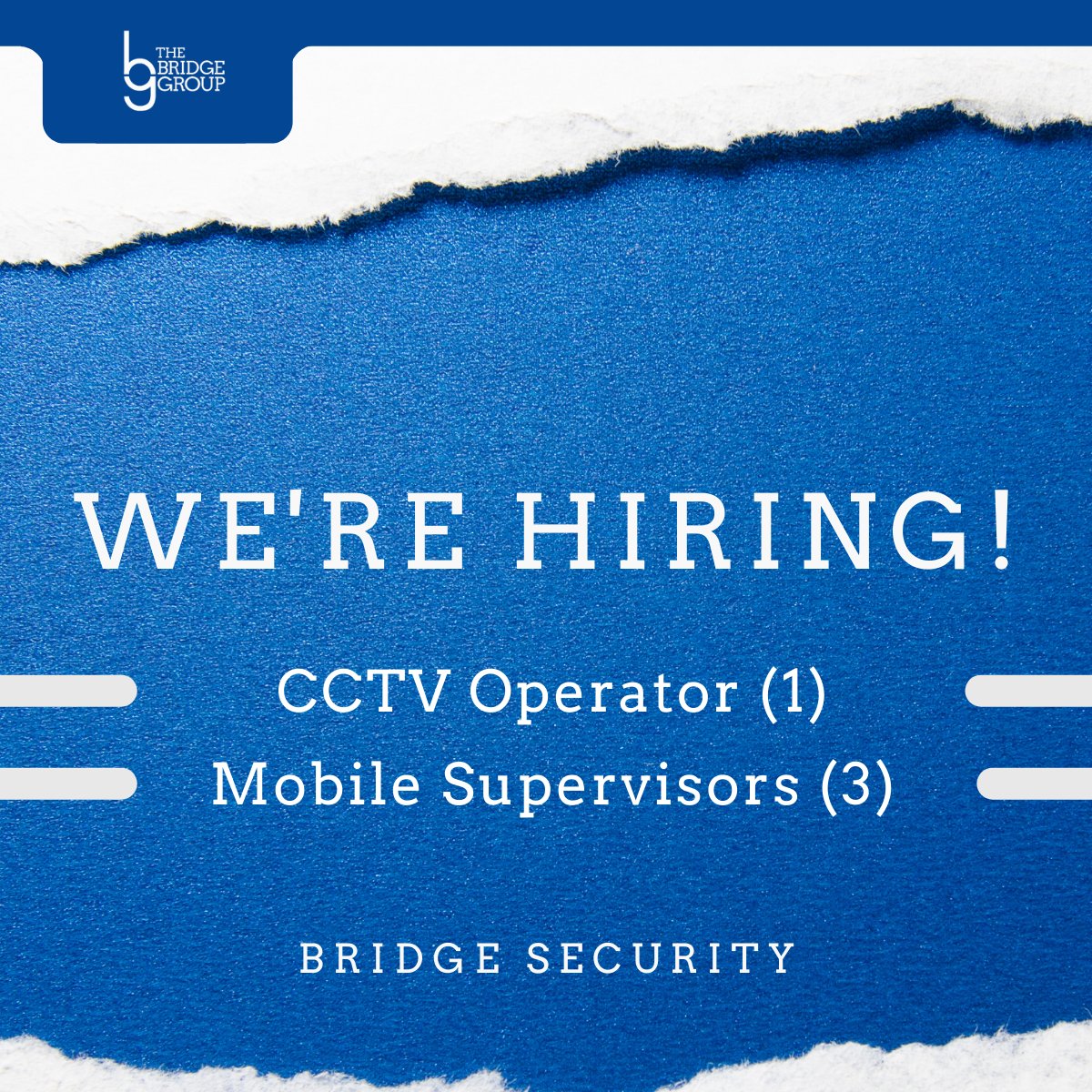 The Bridge Group UK (@bridgegroupuk) / Posts / X