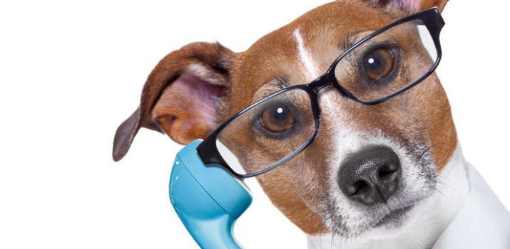 agencycentral's tweet photo. The Telephone Interview: Top 5 Essential Tips

https://t.co/QMi0DtHkyf https://t.co/0Na4Q7tBXF
