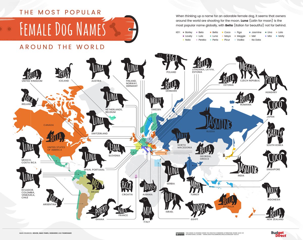 CNTravelerSpain's tweet photo. El mapa que muestra los nombres de perros más populares de cada país --> https://t.co/NJBtAwP7vr https://t.co/sYb1fN3HfY