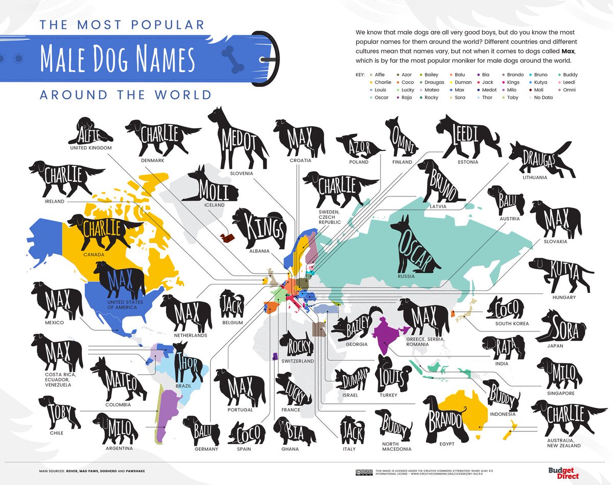 CNTravelerSpain's tweet photo. El mapa que muestra los nombres de perros más populares de cada país --> https://t.co/NJBtAwP7vr https://t.co/sYb1fN3HfY
