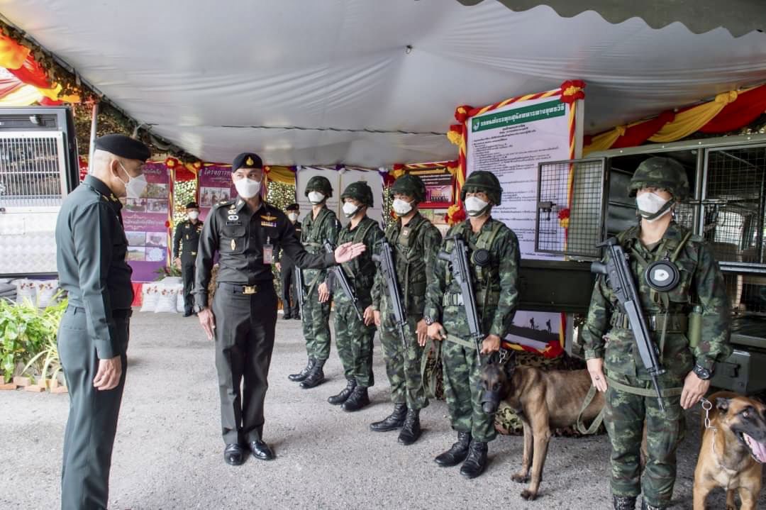 vrd_army's tweet photo. วันนี้ (10 พ.ย.64) ผู้ช่วยผู้บัญชาการทหารบก พร้อมคณะ เดินทางตรวจเยี่ยมด้านการส่งกำลังบำรุง ประจำปีงบประมาณ 2565 ณ #กรมการสัตว์ทหารบก จ.นครปฐม โอกาสเดียวกันนี้ ได้เยี่ยมชมการจัดแสดงนิทรรศการภารกิจในด้านต่างๆ ของหน่วยด้วย
#vrdarmy #ภารกิจ #packsquadron #mwdb #mwdc #LAD2 #กองสาม https://t.co/WzmFVKYSSK
