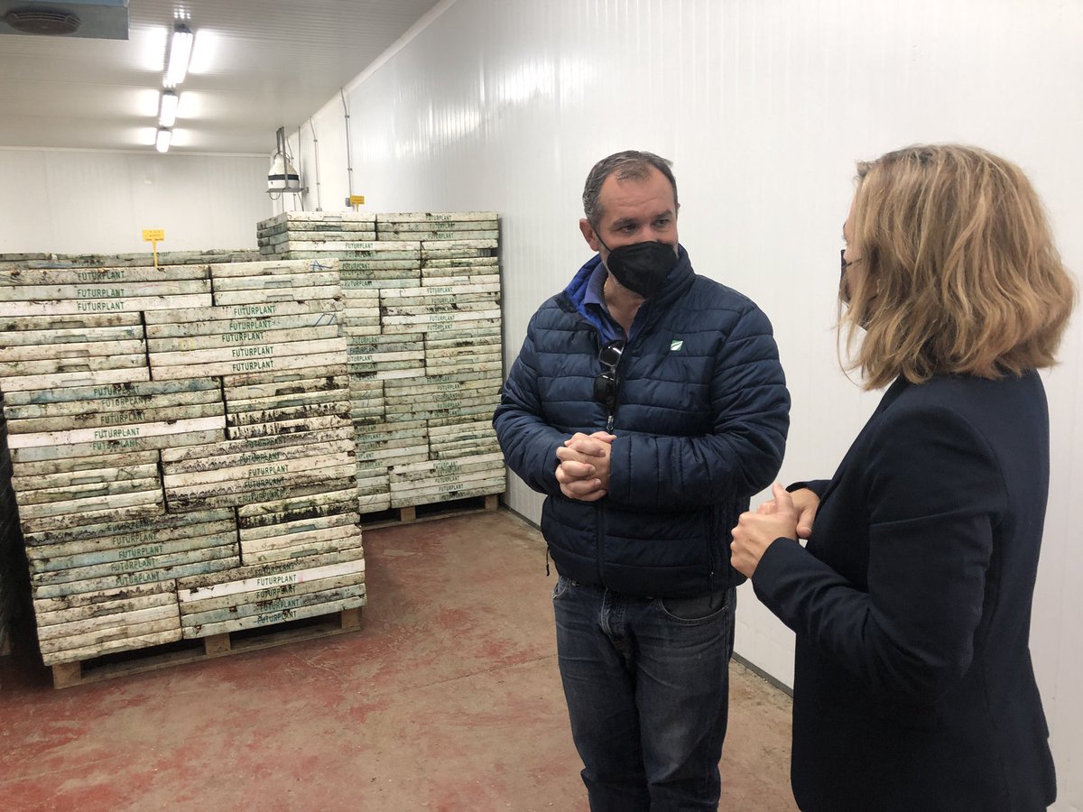 Revista Fruit Today tweet media