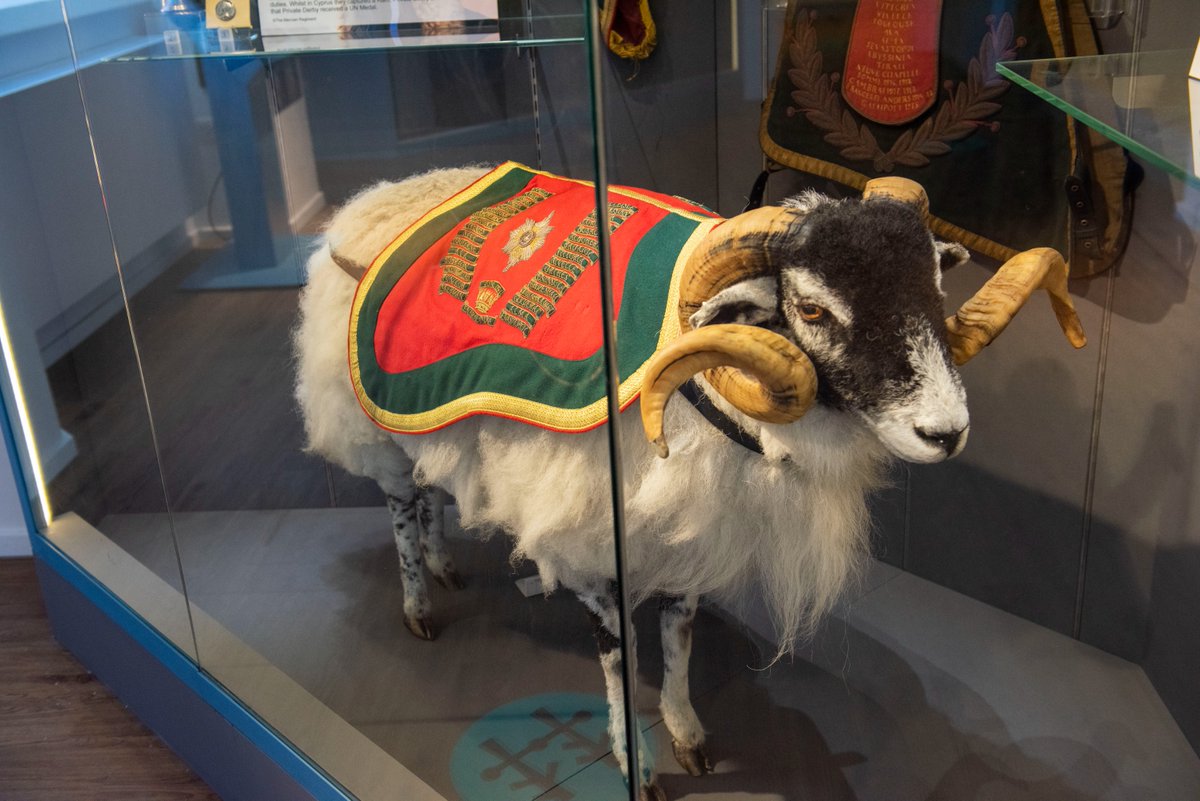 NottmCastle's tweet photo. Join us this weekend for a special tour of the Castle Grounds, where you'll hear more about Nottingham Castle’s military history. Visit key memorials and discover the stories of Nottingham’s most famous regiments @museumercianWFR
More info: https://t.co/nKuhMMvNTv https://t.co/KdRyGILgdd