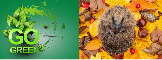 brentdavenpor14's tweet image. Is Your PC #EcoFriendly? Tip 6
#HibernateMode uses up no energy whatsoever. You’ll still have #remoteaccess to your PC &amp;amp; your device will perform updates but it will take longer than #StandbyMode to boot back up #Gogreen #greenit #greenpc #greentech